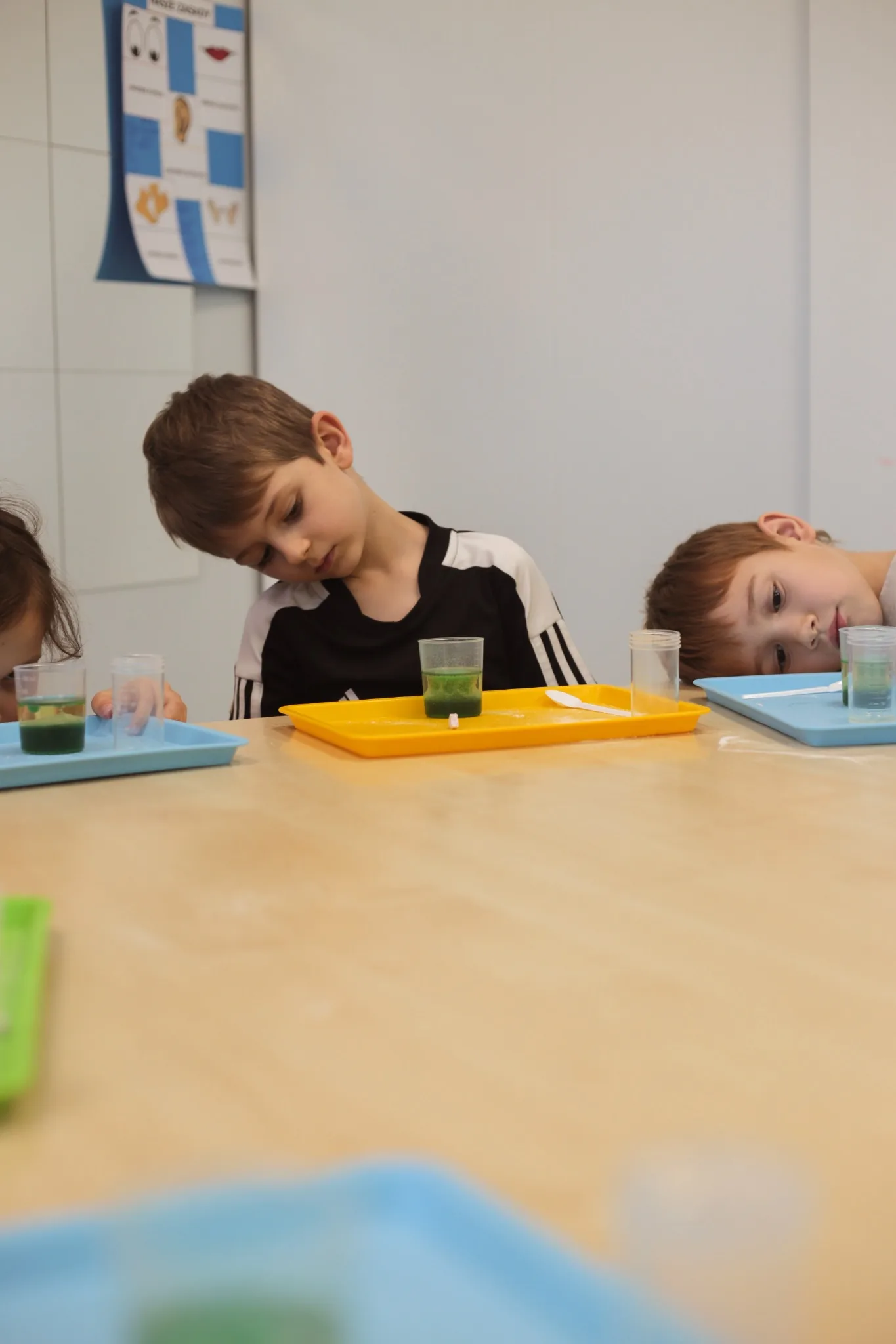 Zajęcia edukacyjne dla dzieci